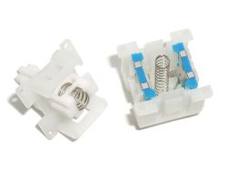 Opened; both switchplates and the two-stage spring are visible