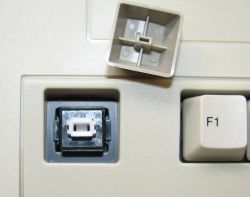 Alps SKCM White switch