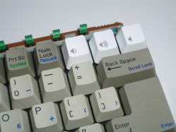 Matias keycaps fitted to demonstrate that the switches are Alps mount