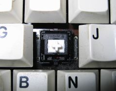 Cherry MX White in G80-1000