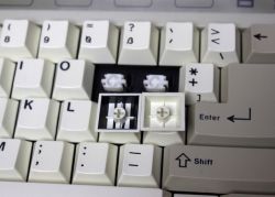 Keycaps used with the switch