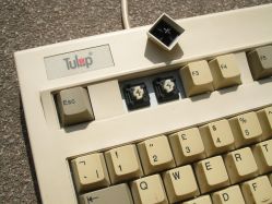 White SMK switches