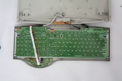 Internals back