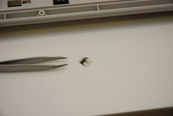 Click leaf