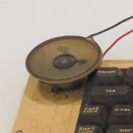 Type 1a speaker without grille.