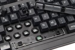 Keycaps and rubber domes