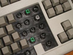 Sliders (with keycaps removed) and stabilisers from 1996 blue label