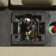 White switch internals