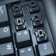 Switches 1