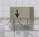 Down Arrow Key