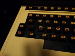 SKCL Striped Amber in a Tandem 6526 terminal keyboard