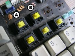 "A" and "B" types labelled