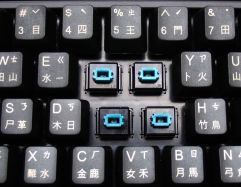 APC BSW 055WH switches