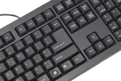 Asian 101 layout