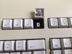Switches