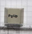 Page Up Key