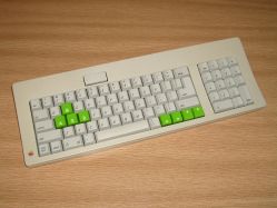 Apple M0116 with Taiwan Tai-Hao doubleshot keycaps