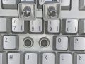 Keycaps/switch closeup
