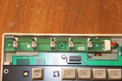 Toggle switches (interior, above)