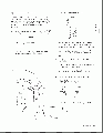 Thumbnail for version as of 14:19, 21 January 2025
