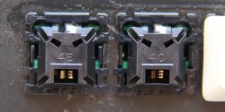 Black switches, larger "eye" variant