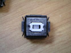 Bamboo "scrawly" switch