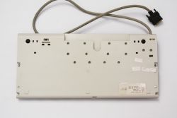 Keyboard back