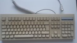 ISO model top