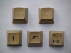 Assorted IBM 5556 keycaps, top view