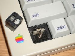 Alps lock switch showing the latching mechanism