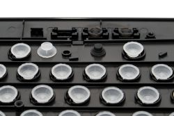 Rubber domes in two sizes