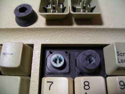 Unbranded tactile switches from a Key Tronic E03091007 keyboard