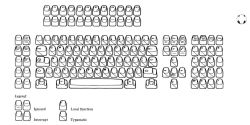 Diagram from an IBM manual showing the 127-key 4980 layout