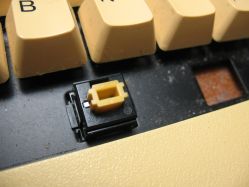 Long tabs can be seen