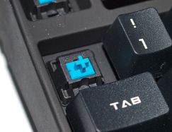 Keycaps/switches