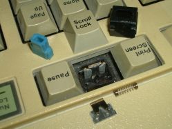 Close-up of one of the switches