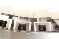 Leaf springs, left side view