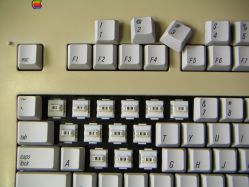 Switches