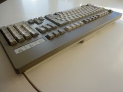 The two colored case is more apparent from behind